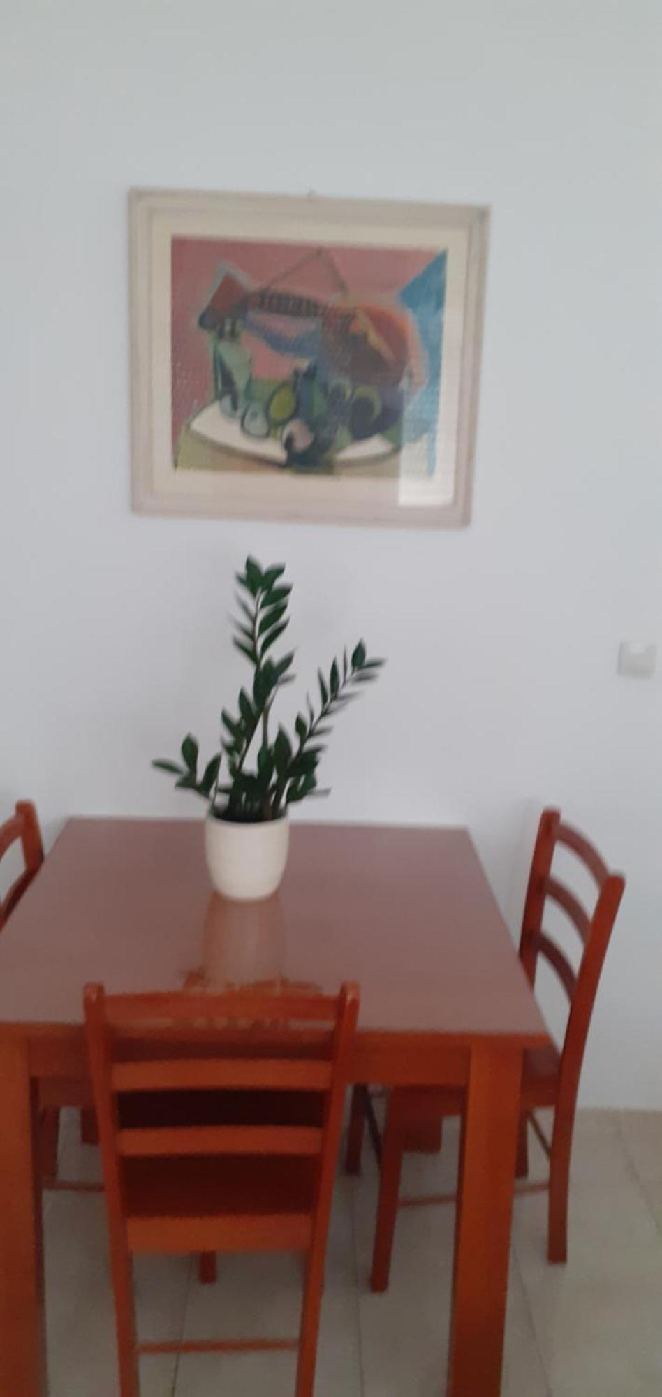 Apartment Calluna Split Dış mekan fotoğraf