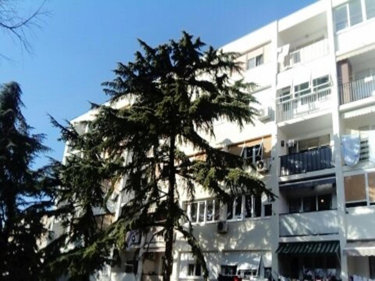 Apartment Calluna Split Dış mekan fotoğraf